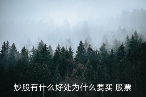 人們購(gòu)買(mǎi)股票就增加了投資