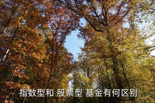  指數(shù)型和 股票型 基金有何區(qū)別
