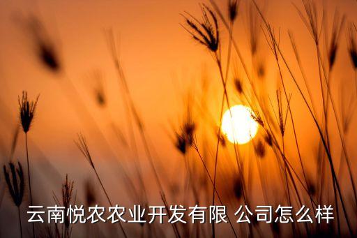  云南悅農農業(yè)開發(fā)有限 公司怎么樣