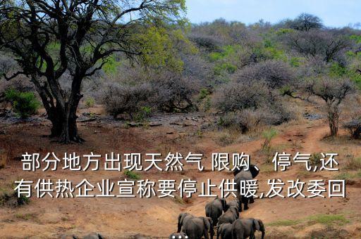 部分地方出現(xiàn)天然氣 限購、停氣,還有供熱企業(yè)宣稱要停止供暖,發(fā)改委回...