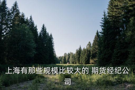 上海有那些規(guī)模比較大的 期貨經(jīng)紀公司