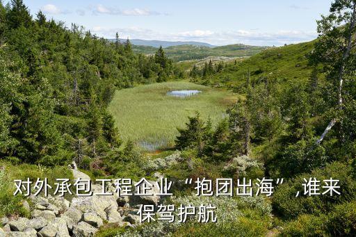 對外承包工程企業(yè)“抱團(tuán)出?！?誰來保駕護(hù)航