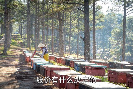 股價有什么決定的