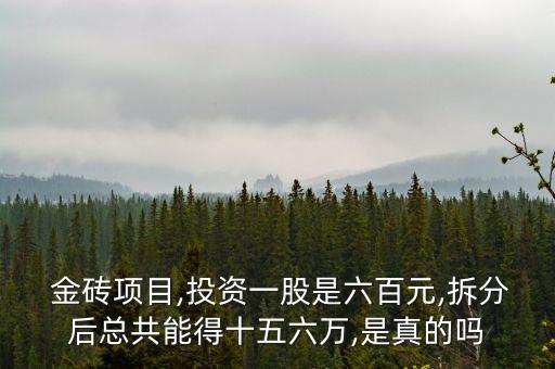  金磚項(xiàng)目,投資一股是六百元,拆分后總共能得十五六萬(wàn),是真的嗎