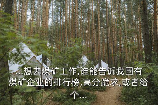 ...想去煤礦工作,誰能告訴我國(guó)有煤礦企業(yè)的排行榜,高分跪求,或者給個(gè)...