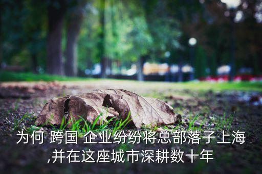 中國(guó)跨國(guó)企業(yè)