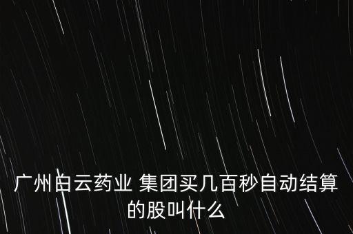 廣藥集團(tuán)2012年財務(wù)報表