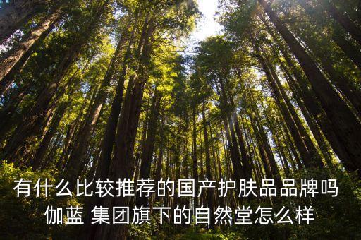 有什么比較推薦的國(guó)產(chǎn)護(hù)膚品品牌嗎 伽藍(lán) 集團(tuán)旗下的自然堂怎么樣