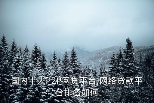 p2p哪家公司好,美國(guó)P2P公司