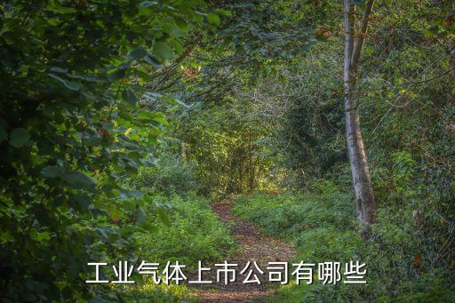 西部礦業(yè)集團(tuán)財務(wù)有限公司地址,青海西部礦業(yè)集團(tuán)有限公司