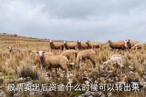  股票賣出后資金什么時候可以轉(zhuǎn)出來