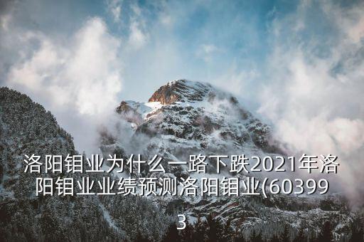 洛陽鉬業(yè)為什么一路下跌2021年洛陽鉬業(yè)業(yè)績(jī)預(yù)測(cè)洛陽鉬業(yè)(603993