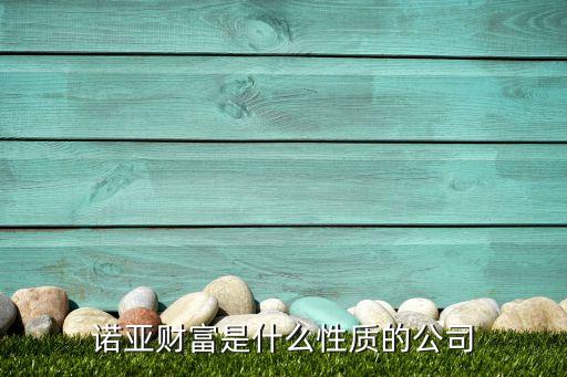 諾亞財富是什么性質(zhì)的公司