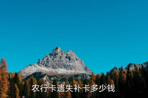 農(nóng)行卡遺失補(bǔ)卡多少錢