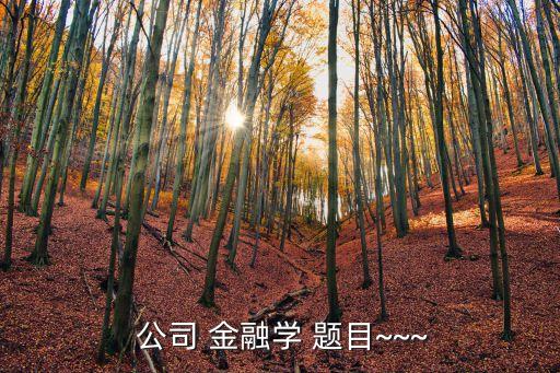  公司 金融學 題目~~~