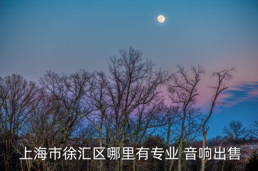  上海市徐匯區(qū)哪里有專(zhuān)業(yè) 音響出售