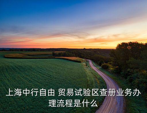 上海中行自由 貿(mào)易試驗區(qū)查冊業(yè)務(wù)辦理流程是什么