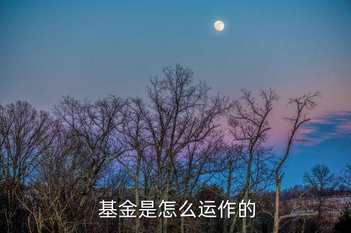  基金是怎么運(yùn)作的