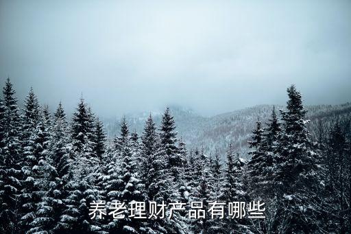  養(yǎng)老理財(cái)產(chǎn)品有哪些