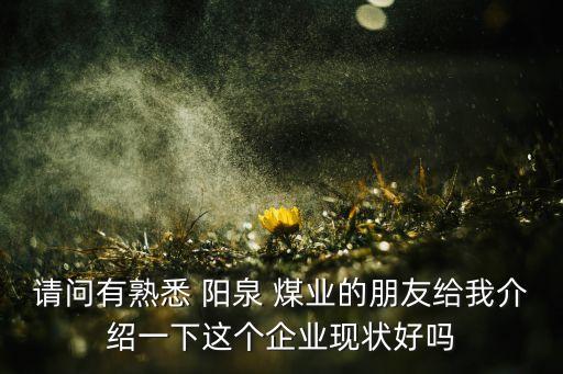 請(qǐng)問有熟悉 陽泉 煤業(yè)的朋友給我介紹一下這個(gè)企業(yè)現(xiàn)狀好嗎