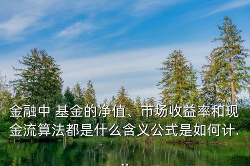 金融中 基金的凈值、市場(chǎng)收益率和現(xiàn)金流算法都是什么含義公式是如何計(jì)...