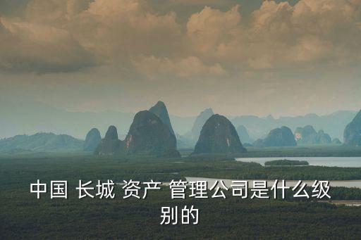 中國長城資產(chǎn)管理股份有限公司,長城資產(chǎn)管理公司