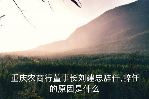  重慶農(nóng)商行董事長(zhǎng)劉建忠辭任,辭任的原因是什么