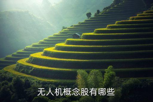 無(wú)人機(jī)概念股有哪些