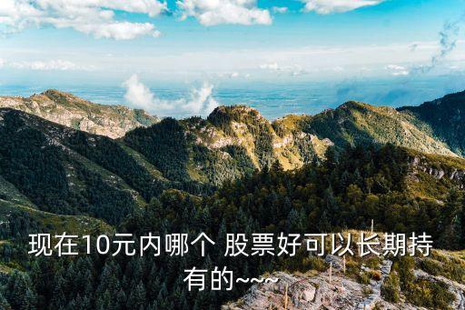 現(xiàn)在10元內(nèi)哪個 股票好可以長期持有的~~~
