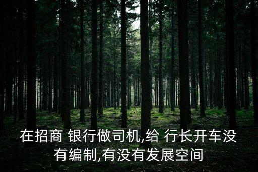在招商 銀行做司機,給 行長開車沒有編制,有沒有發(fā)展空間