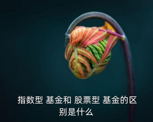 股票與指數(shù)基金,股票指數(shù)基金為什么會長生不死,長期上漲?