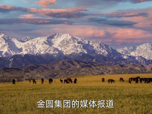 金圓集團(tuán)的媒體報道