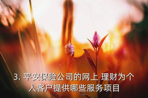 3. 平安保險公司的網(wǎng)上 理財為個人客戶提供哪些服務(wù)項目