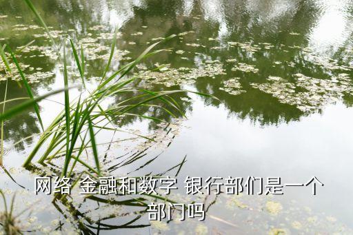  網絡 金融和數(shù)字 銀行部們是一個部門嗎