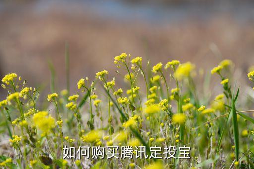 如何購(gòu)買騰訊定投寶