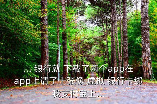... 銀行就 下載了兩個app在app上請了十張像 虛擬 銀行卡綁我支付寶上...