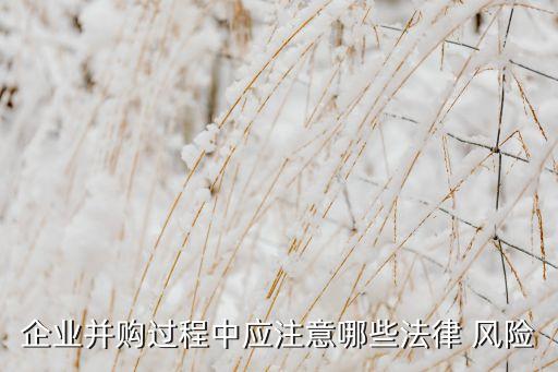 收購公司的風(fēng)險