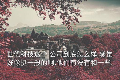 世優(yōu)科技這個(gè) 公司到底怎么樣,感覺好像挺一般的啊,他們有沒有和一些...
