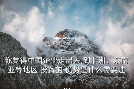你覺(jué)得中國(guó)企業(yè)走出去,到非洲、東南亞等地區(qū) 投資的 優(yōu)勢(shì)是什么需要注...