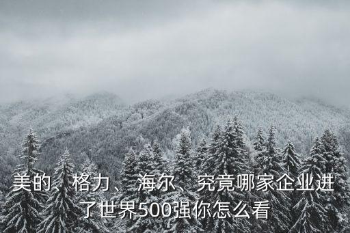 美的、格力、 海爾、究竟哪家企業(yè)進了世界500強你怎么看