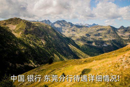 中國 銀行 東莞分行待遇詳細情況!