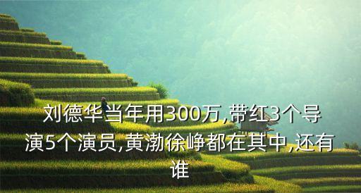  劉德華當年用300萬,帶紅3個導(dǎo)演5個演員,黃渤徐崢都在其中,還有誰