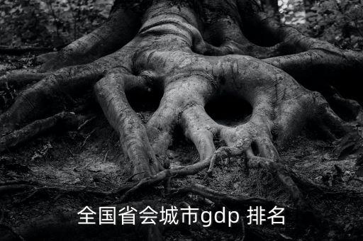 全國省會(huì)城市g(shù)dp 排名