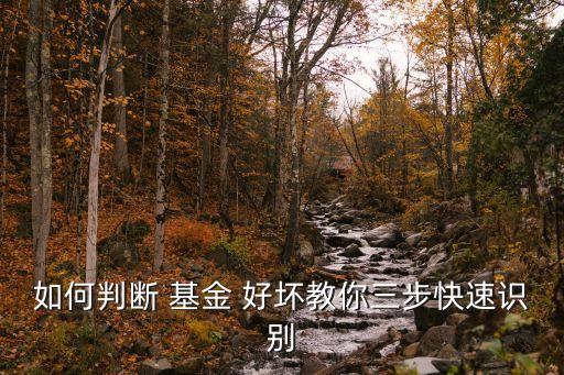 基金好壞評(píng)判的標(biāo)準(zhǔn),和田玉好壞評(píng)判標(biāo)準(zhǔn)