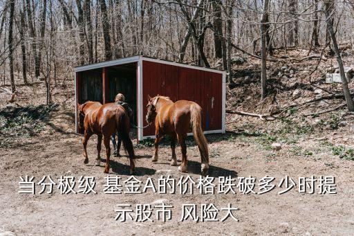 當(dāng)分極級 基金A的價(jià)格跌破多少時(shí)提示股市 風(fēng)險(xiǎn)大