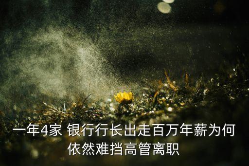 一年4家 銀行行長(zhǎng)出走百萬年薪為何依然難擋高管離職