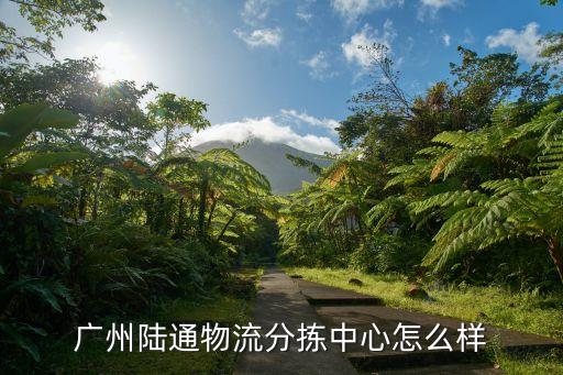 上海陸通國(guó)際貿(mào)易