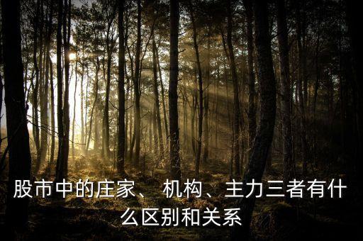 股市中的莊家、 機構、主力三者有什么區(qū)別和關系