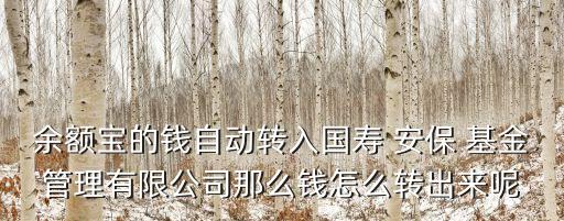余額寶的錢自動(dòng)轉(zhuǎn)入國壽 安保 基金管理有限公司那么錢怎么轉(zhuǎn)出來呢