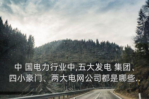 中能國電集團(tuán)是什么,國電投集團(tuán)是什么級(jí)別單位